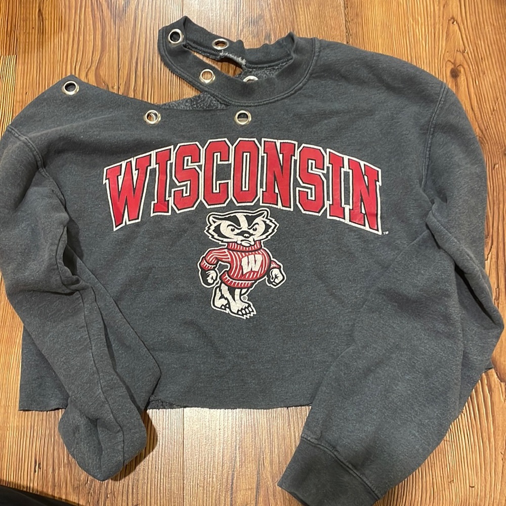 Wisconsin- Madison Cropped gray vintage tailgate sweatshirt. From LF